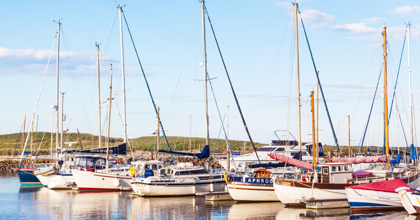 What to Do and Where to Stay in Alnmouth, Warkworth and Amble Living